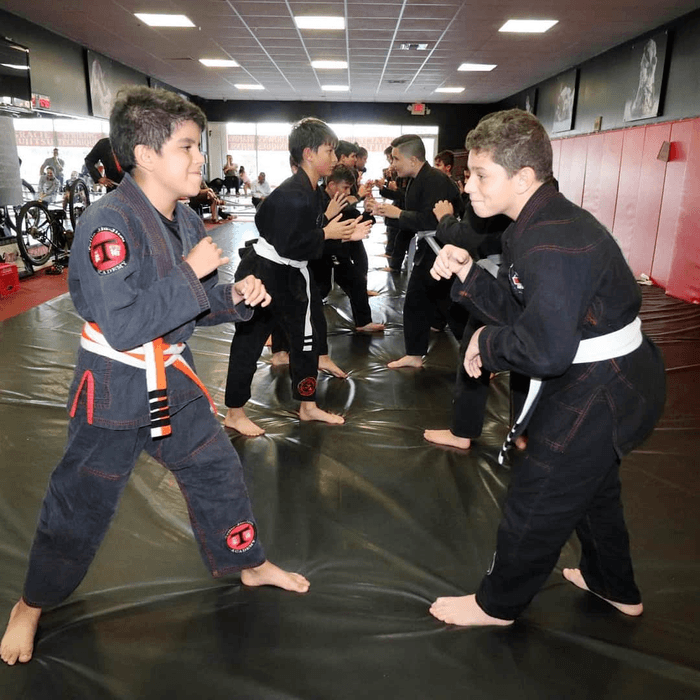 Master Self-Defense and Empower Your Journey with Martial Arts in Haileah